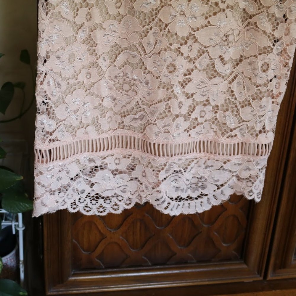 PERCEPTIONS New York Blush Nude Lace Sheath Dress - NWT! - Picture 6 of 16